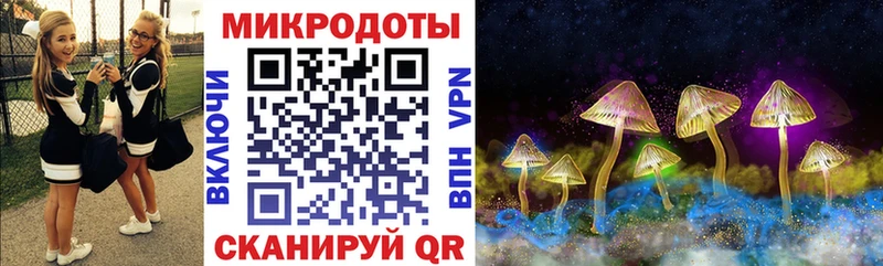 закладки  Ставрополь  Галлюциногенные грибы Cubensis 