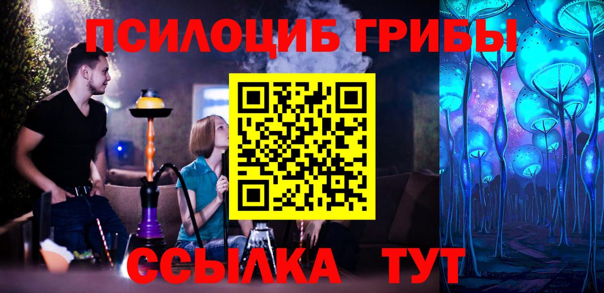 Галлюциногенные грибы прущие грибы Ставрополь
