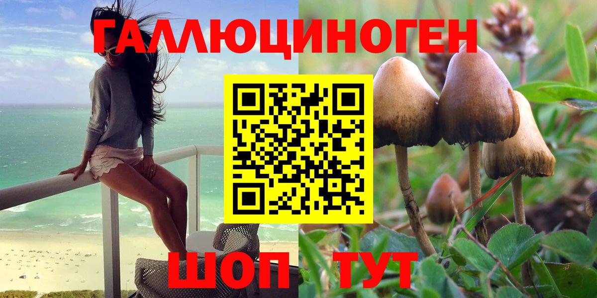 Псилоцибиновые грибы прущие грибы  Вход с VPN  Ставрополь 