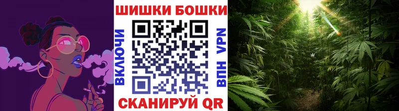 даркнет какой сайт  Ставрополь  Бошки марихуана план 