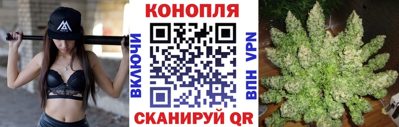 Бошки Шишки THC 21% Ставрополь