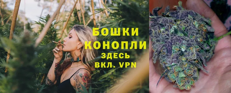 Бошки марихуана Ganja  Ставрополь 